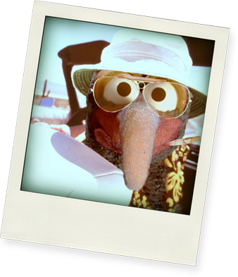 gonzo_pol
